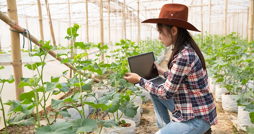Modern Agro Farming