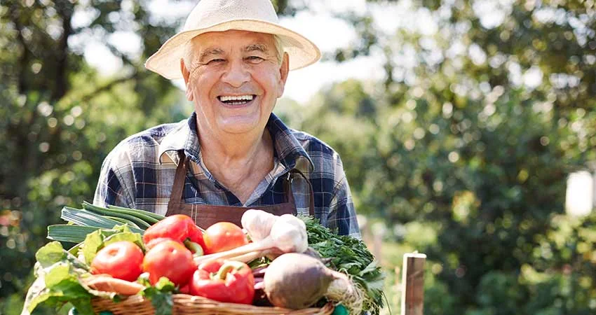 Organic Farming